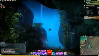 GW2 Coddlers Cove Jumping Puzzle [upl. by Solegna]