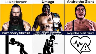 How WWE Wrestlers Died  WWE Wrestlers Who Have Died [upl. by Arrim632]