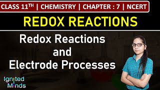 Class 11th Chemistry  Redox Reactions and Electrode Processes  Chapter 7  NCERT [upl. by Enorej]