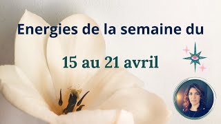 Semaine du 15 au 21 avril  Lheure du bilan [upl. by Ynnam]