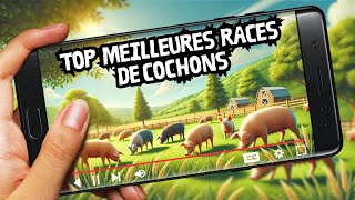 Top 10 des Meilleures Races de Cochons 🐷🥩🍖 pour Votre Élevage 🌿 [upl. by Dayna631]