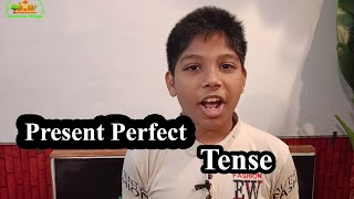 Present Perfect Tense A StepbyStep Guide [upl. by Nnaacissej]