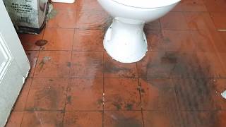 Toilet overflowing and flooding [upl. by Meredi]