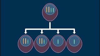 Nondisjunction in Meiosis [upl. by Allanson]