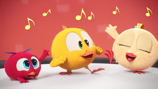 Chicky and friends concert  Wheres Chicky  Cartoon Collection in English for Kids  New episodes [upl. by Woo]