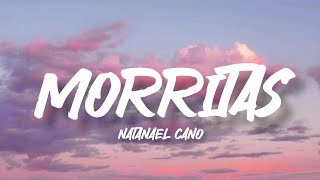 Morritas  Natanael Cano LetraEnglish Lyrics [upl. by Aevin]