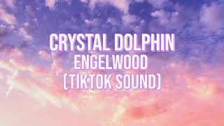 Crystal Dolphin  Engelwood TikTok Remix [upl. by Carolan]