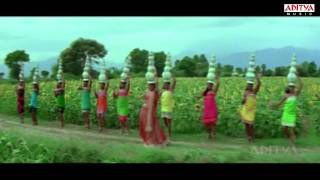 Ranam Video Songs  Varevva Song  Gopichand Kamna Jethmalani [upl. by Elah]