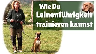 Leinenführigkeit ► Hilfe mein Hund zieht an der Leine  Leinenführigkeit trainieren [upl. by Lainahtan]