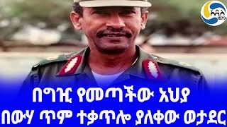 Ethiopia á‰³áˆªáŠ­ á‰ á‹áˆƒ áŒ¥áˆ á‰°á‰ƒáŒ¥áˆŽ á‹«áˆˆá‰€á‹ á‹ˆá‰³á‹°áˆ­ Husen Ahemed áŠ áˆáŒŒáŠ“  Asefa Abate [upl. by Tavy]