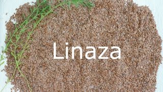 Beneficios de linaza para la salud cabello y piel [upl. by Flanna]