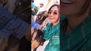 Alizeh jamali new tiktok video ❤️ Beast couple AayuuampAlizeh jamali aayujanta ayushandalizehlive [upl. by Dira]