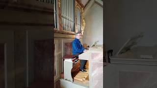 Orgel spielen  Bach JS Präludium BWV 556 [upl. by Denman682]