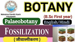 Fossilizationजीवाश्मीकरणBSc 1st year Botany 3rd PaperProcess of FossilizationBalaeobotany [upl. by Marden]