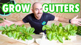 Cheap amp Easy DIY Hydroponic Grow Gutters [upl. by Ednihek795]