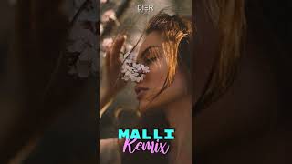 BUTRINT IMERI — MALLI DIER REMIX shorts albania [upl. by Meredi338]