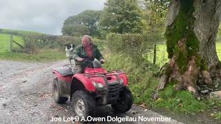 Lot 9 Joe AOwen Dolgellau November [upl. by Yliram103]