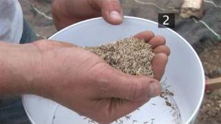 How To Sow Seeds For Your Lawn [upl. by Debby]