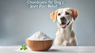 Chondroitin A GameChanger for Dog’s Joint Pain Relief [upl. by Enelrae]