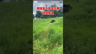 Remote control smart lawn mower One machine for multiple uses saving time effort viralvideo [upl. by Llecrep]