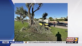 One person dead after crashing into a tree in Palm Springs Friday afternoon [upl. by Ardnod244]