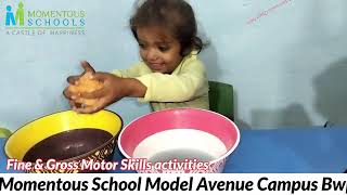 Fine and Gross Motor Skills Activity [upl. by Enelam]