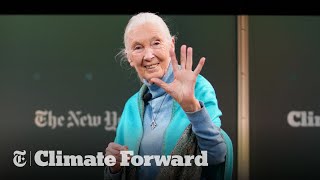 Dr Jane Goodall  Lessons From a Lifetime Defending Nature [upl. by Leissam]