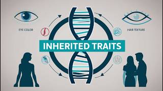 Do You Actually Inherit Traits From Your Parents [upl. by Ezar]