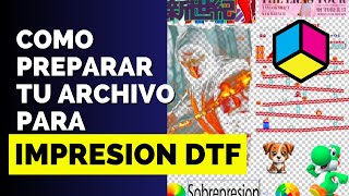 💯👌☺️ La mejor forma de preparar tu archivo para impresión DTF en plotter [upl. by Ahsenahs771]