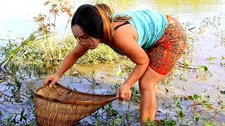 Amazing Fishing at Battambang Beautiful Girl Fishing How To Catch Fish By Hand22 [upl. by Ilecara]