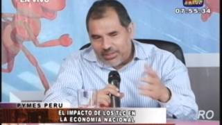 EL IMPACTO DE LOS TLC EN LA ECONOMIA PERUANA [upl. by Eynahpets]