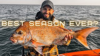 The Best SNAPPER SEASON Ever  Rampaging REDS [upl. by Nette]