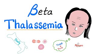 Beta Thalassemia  Causes and Types  minor Major amp Intermedia  Hematology [upl. by Sayce]