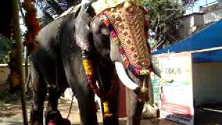 kaipuzha sasthankal temple ultsavam [upl. by Padraic]