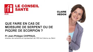 Que faire en cas de morsure de serpent ou piqûre de scorpion [upl. by Elburr]