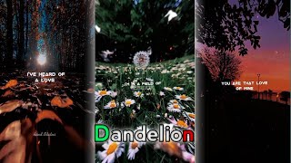 Dandelions  Aesthetic lyrics edit  Audio Slowed  dandelions shorts ruthb [upl. by Lyn]