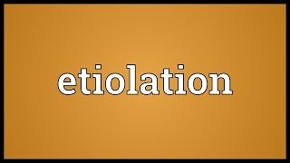 Etiolation Meaning [upl. by Nylasej]