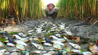 Amazing fishing catching fish and save fish [upl. by Brunk]