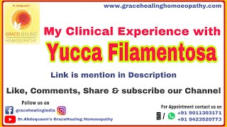 My Clinical Experience with Yucca filamentosa [upl. by Yltsew]