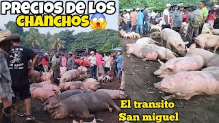 🐖🚨 TIANGUE DE EL TRÁNSITO SAN MIGUEL EL SALVADOR 🇸🇻 [upl. by Walworth]