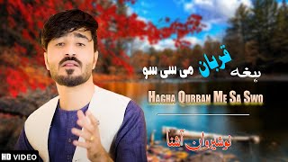 Hagha Qurban Me Sa Swo  Nosherwan Ashna  New Pashto Songs 2024 [upl. by Hannon]