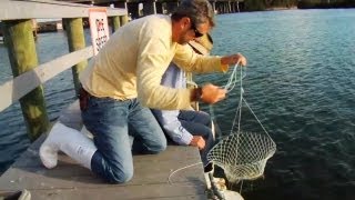 How to Catch Blue Crabs [upl. by Farr]