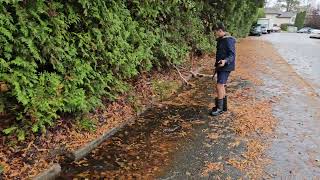 Clearing a storm drain after an atmospheric river in Vancouver [upl. by Moretta]