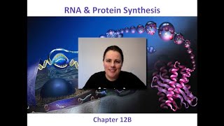 Protein Synthesis Review amp HW [upl. by Euridice]