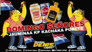 🍻 DOMINGO SEÑORES JAUMINAA KP KACHAKA PURETE CHE UHEII ❌ DJ DENIS LOPEZ🍻 [upl. by Odnanreh]