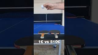 1€ vs 510€ Table Tennis Racket 🏓 tabletennisracket pingpong tischtennis 🏓 [upl. by Gile389]