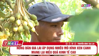 Nông dân Gia Lai áp dụng nhiều mô hình xen canh mang lại hiệu quả kinh tế cao [upl. by Minne729]