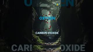 Carbon dioxide in CavessCo2🤨🤔Telugu facts 💥💥shots facts amazingsfacts youtube viral [upl. by Alyled]