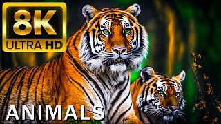 TOP 50 BEAUTIFUL ANIMALS  4K HDR 120fps Dolby Vision with Animal Sounds Colorfully Dynamic [upl. by Nimzzaj]