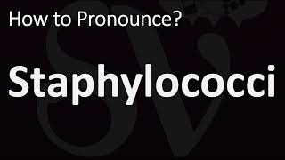 How to Pronounce Staphylococci CORRECTLY [upl. by Keverian]